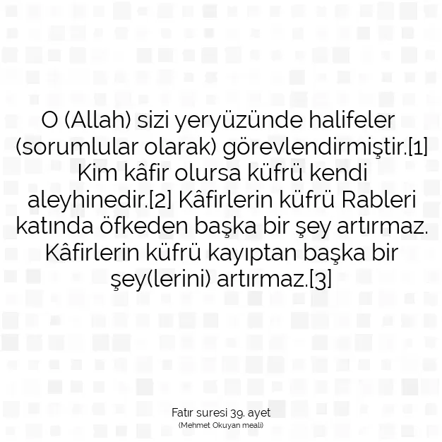 Ayetbul | Kuran Mealleri | Quran | Fatır suresi 39. ayet