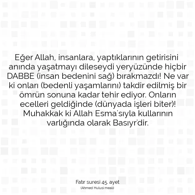 Ayetbul | Kuran Mealleri | Quran | Fatır suresi 45. ayet