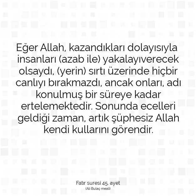 Ayetbul | Kuran Mealleri | Quran | Fatır suresi 45. ayet