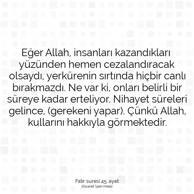 Ayetbul | Kuran Mealleri | Quran | Fatır suresi 45. ayet