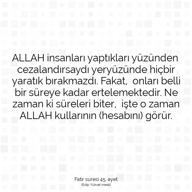 Ayetbul | Kuran Mealleri | Quran | Fatır suresi 45. ayet