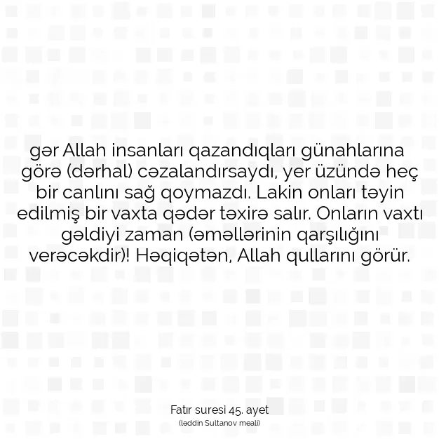 Ayetbul | Kuran Mealleri | Quran | Fatır suresi 45. ayet