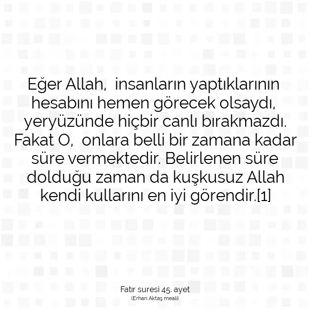 Ayetbul | Kuran Mealleri | Quran | Fatır suresi 45. ayet