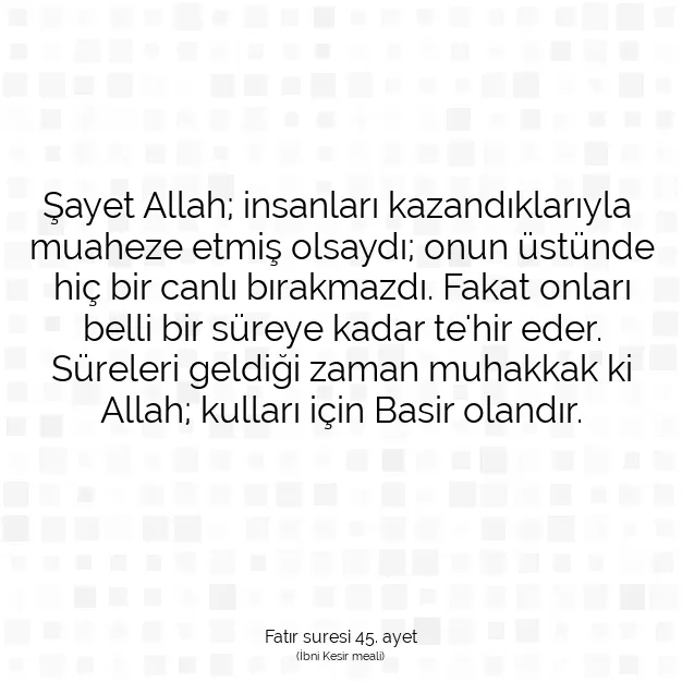 Ayetbul | Kuran Mealleri | Quran | Fatır suresi 45. ayet