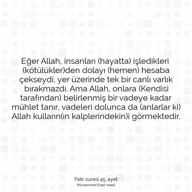 Ayetbul | Kuran Mealleri | Quran | Fatır suresi 45. ayet