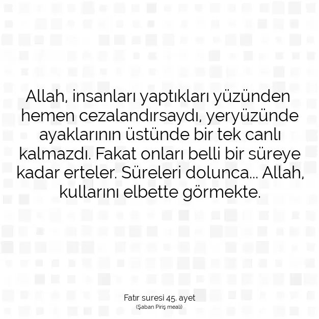 Ayetbul | Kuran Mealleri | Quran | Fatır suresi 45. ayet