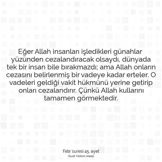 Ayetbul | Kuran Mealleri | Quran | Fatır suresi 45. ayet