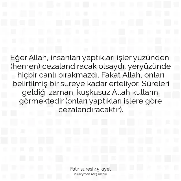 Ayetbul | Kuran Mealleri | Quran | Fatır suresi 45. ayet