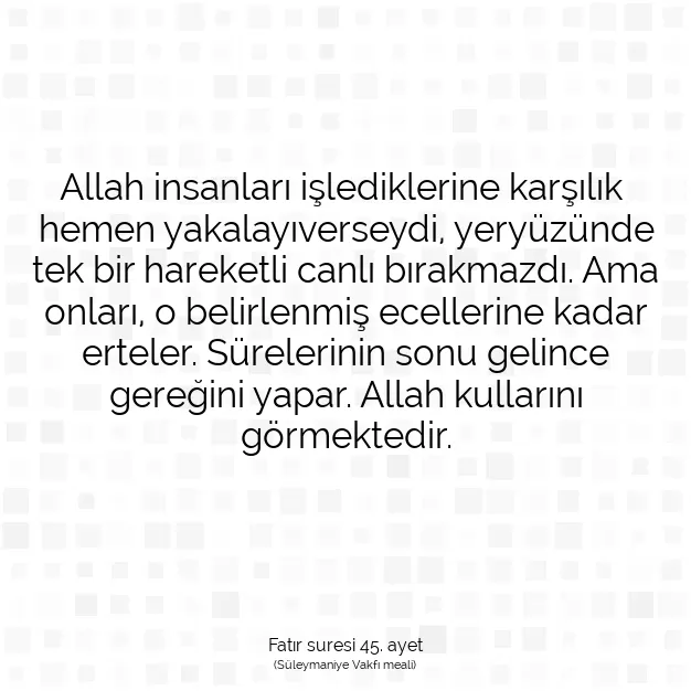 Ayetbul | Kuran Mealleri | Quran | Fatır suresi 45. ayet