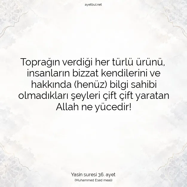 Ayetbul | Kuran Mealleri | Quran | Yasin suresi 36. ayet