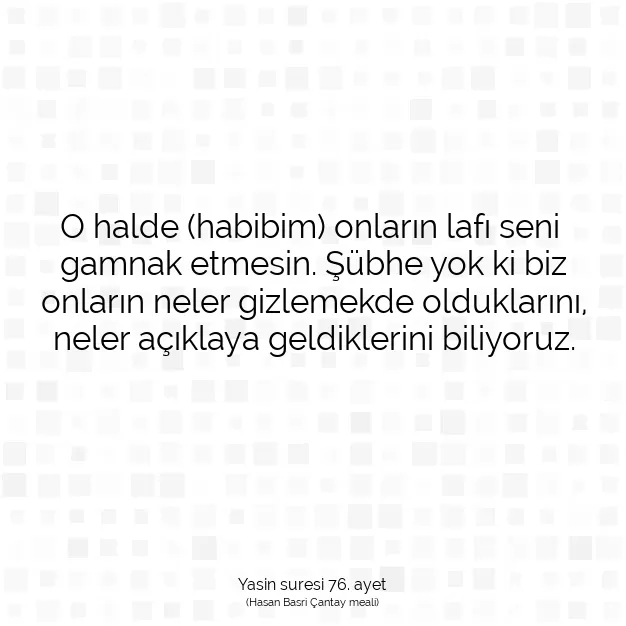 Ayetbul | Kuran Mealleri | Quran | Yasin suresi 76. ayet