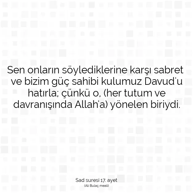 Ayetbul | Kuran Mealleri | Quran | Sad suresi 17. ayet