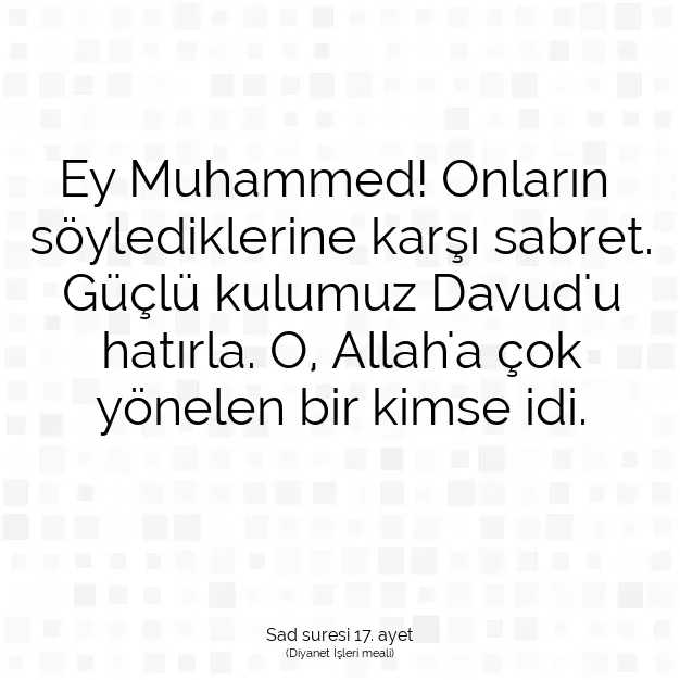 Ayetbul | Kuran Mealleri | Quran | Sad suresi 17. ayet