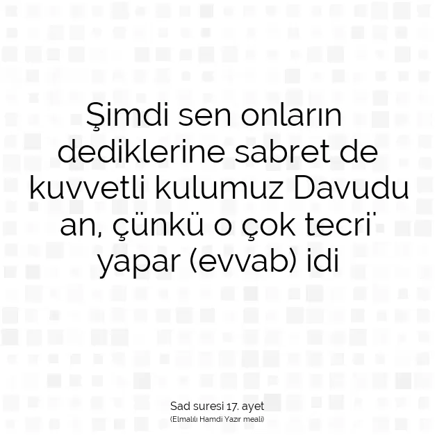 Ayetbul | Kuran Mealleri | Quran | Sad suresi 17. ayet