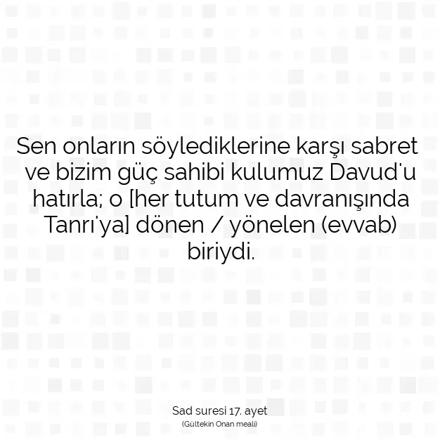 Ayetbul | Kuran Mealleri | Quran | Sad suresi 17. ayet