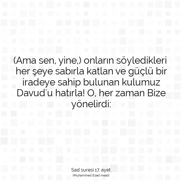 Ayetbul | Kuran Mealleri | Quran | Sad suresi 17. ayet