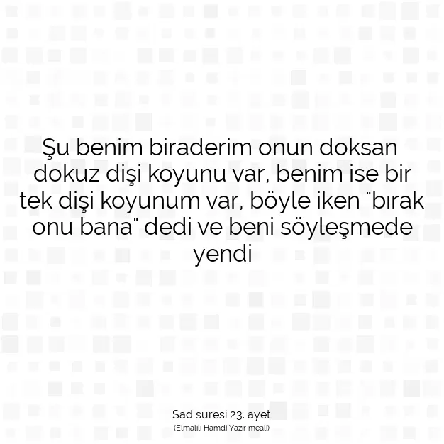 Ayetbul | Kuran Mealleri | Quran | Sad suresi 23. ayet