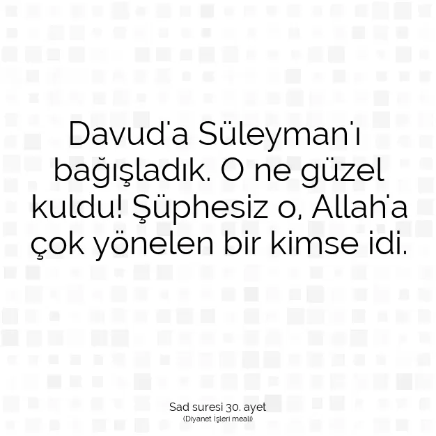 Ayetbul | Kuran Mealleri | Quran | Sad suresi 30. ayet