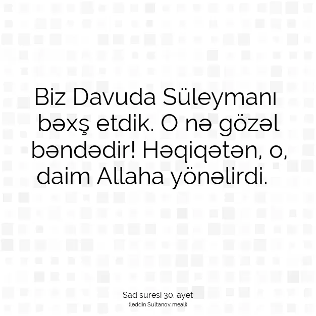 Ayetbul | Kuran Mealleri | Quran | Sad suresi 30. ayet