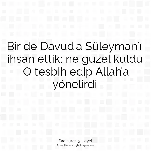 Ayetbul | Kuran Mealleri | Quran | Sad suresi 30. ayet