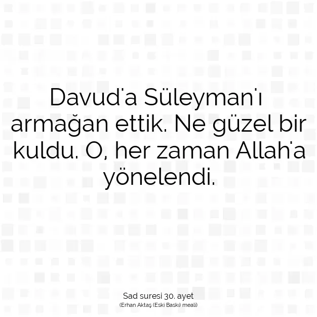 Ayetbul | Kuran Mealleri | Quran | Sad suresi 30. ayet