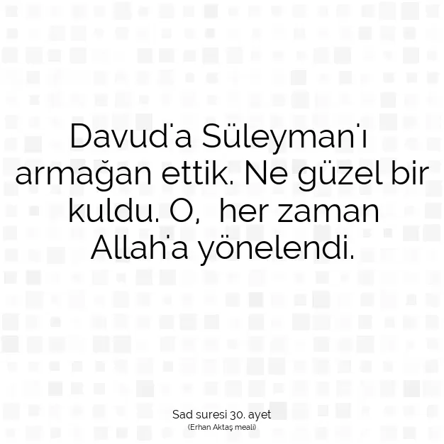 Ayetbul | Kuran Mealleri | Quran | Sad suresi 30. ayet