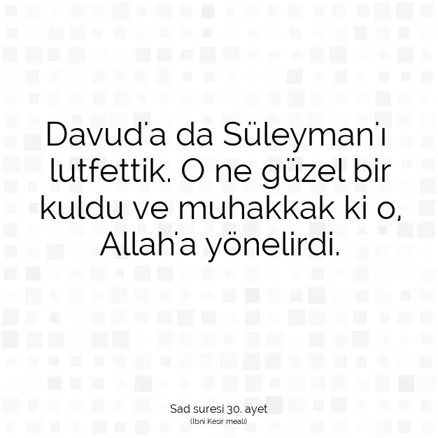 Ayetbul | Kuran Mealleri | Quran | Sad suresi 30. ayet