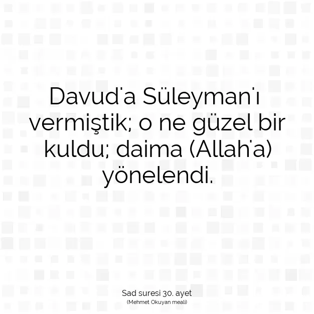 Ayetbul | Kuran Mealleri | Quran | Sad suresi 30. ayet