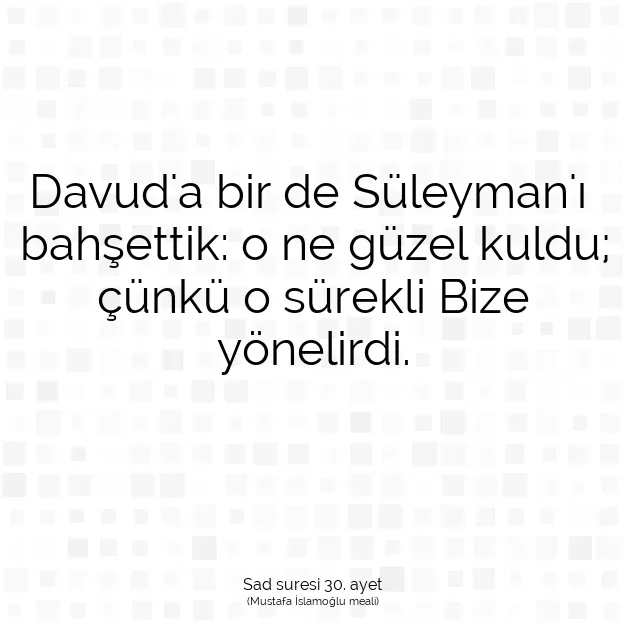 Ayetbul | Kuran Mealleri | Quran | Sad suresi 30. ayet