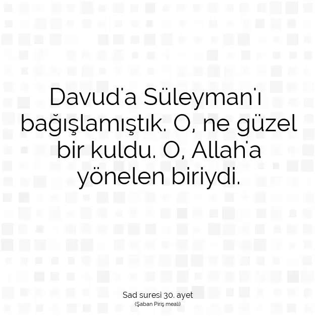 Ayetbul | Kuran Mealleri | Quran | Sad suresi 30. ayet