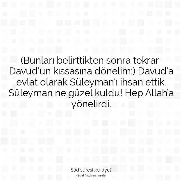 Ayetbul | Kuran Mealleri | Quran | Sad suresi 30. ayet