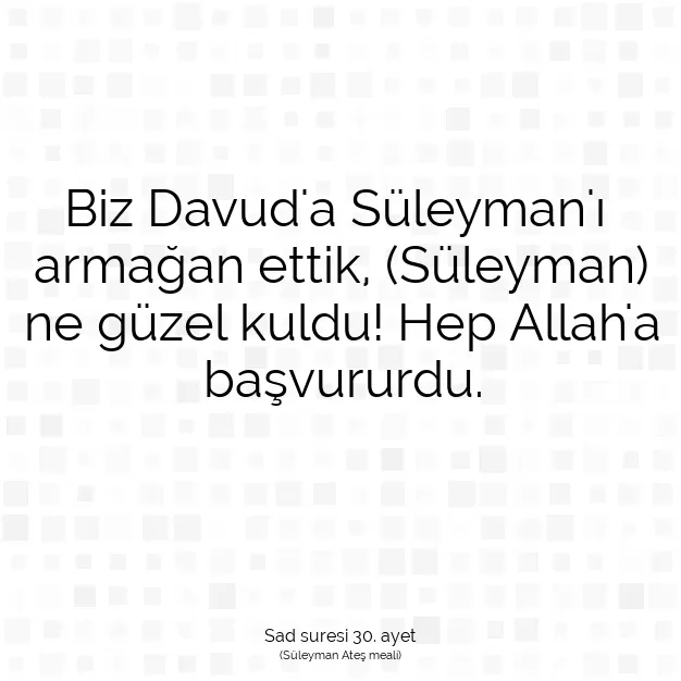 Ayetbul | Kuran Mealleri | Quran | Sad suresi 30. ayet