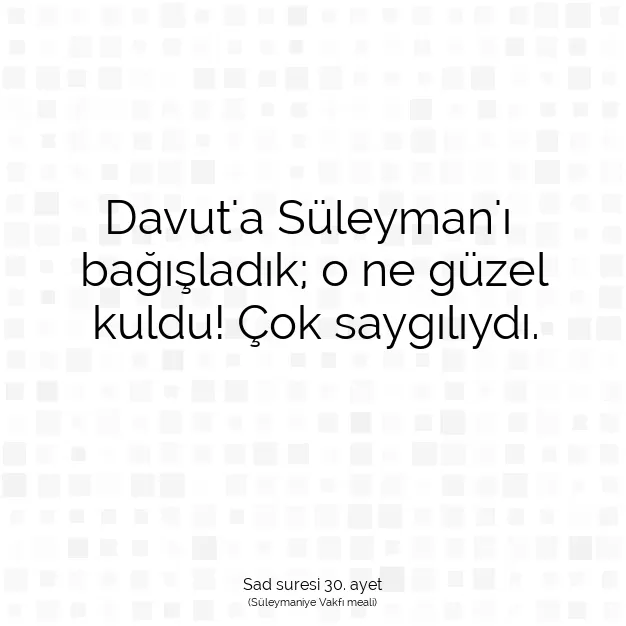 Ayetbul | Kuran Mealleri | Quran | Sad suresi 30. ayet