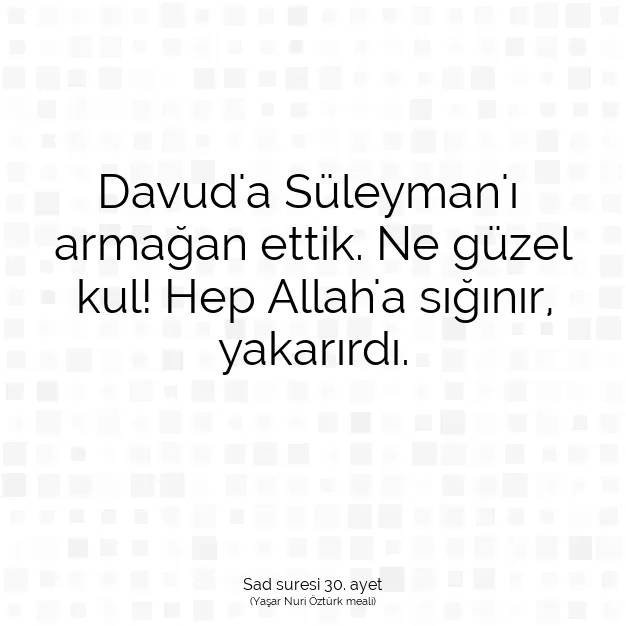 Ayetbul | Kuran Mealleri | Quran | Sad suresi 30. ayet