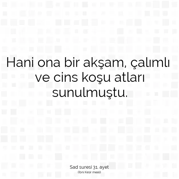 Ayetbul | Kuran Mealleri | Quran | Sad suresi 31. ayet