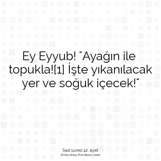 Ayetbul | Kuran Mealleri | Quran | Sad suresi 42. ayet