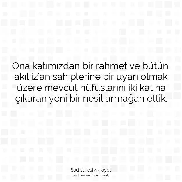 Ayetbul | Kuran Mealleri | Quran | Sad suresi 43. ayet