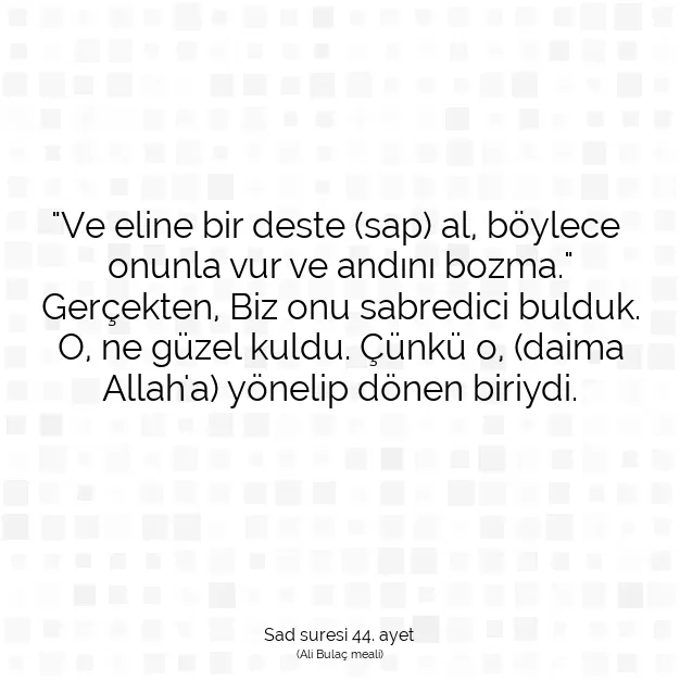 Ayetbul | Kuran Mealleri | Quran | Sad suresi 44. ayet