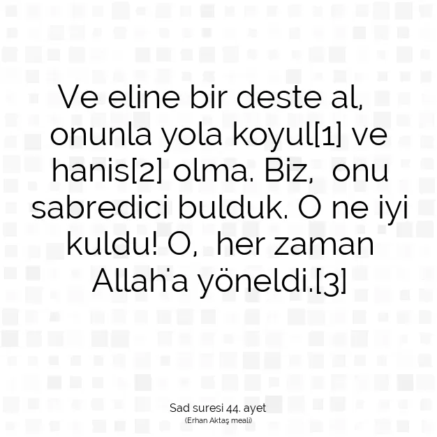 Ayetbul | Kuran Mealleri | Quran | Sad suresi 44. ayet