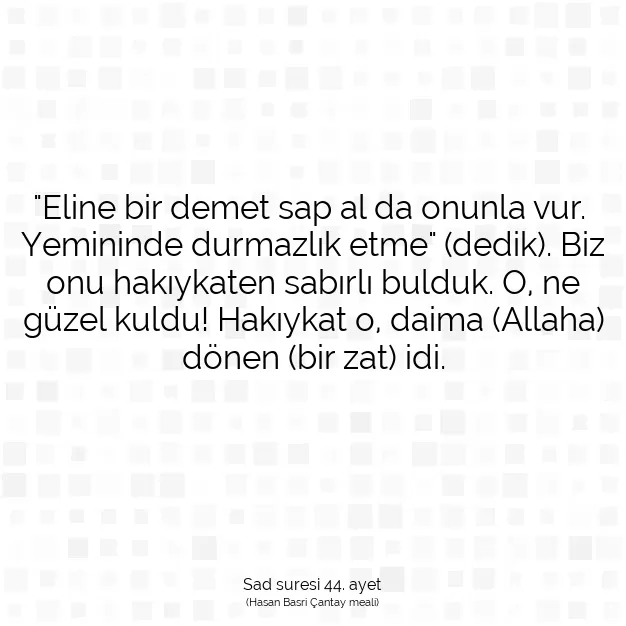 Ayetbul | Kuran Mealleri | Quran | Sad suresi 44. ayet