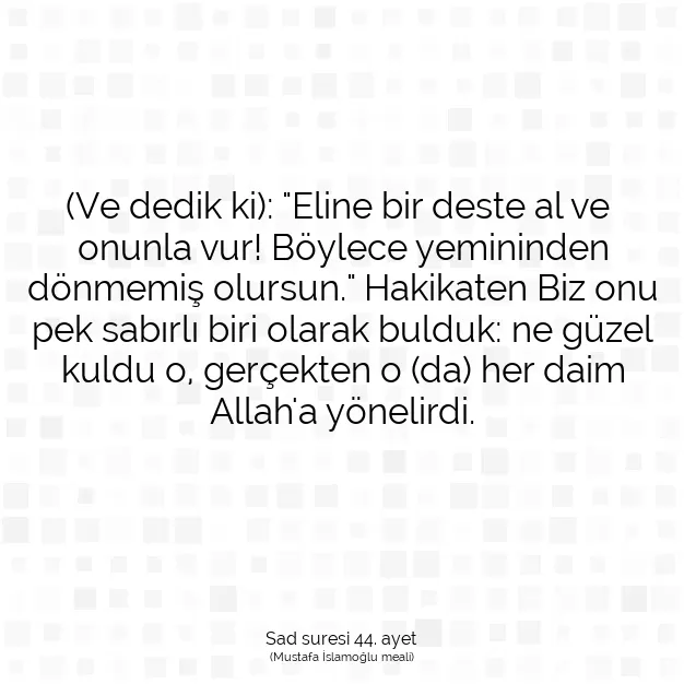 Ayetbul | Kuran Mealleri | Quran | Sad suresi 44. ayet