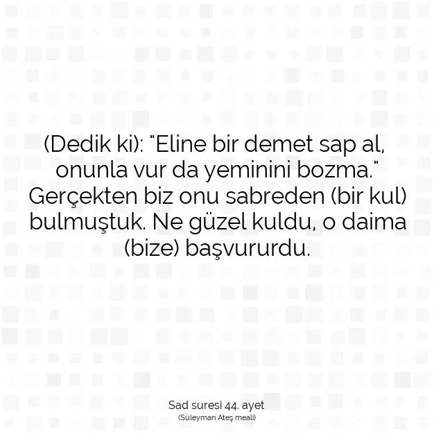 Ayetbul | Kuran Mealleri | Quran | Sad suresi 44. ayet