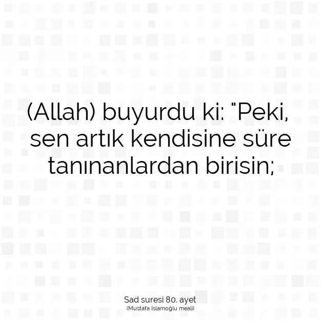 Ayetbul | Kuran Mealleri | Quran | Sad suresi 80. ayet