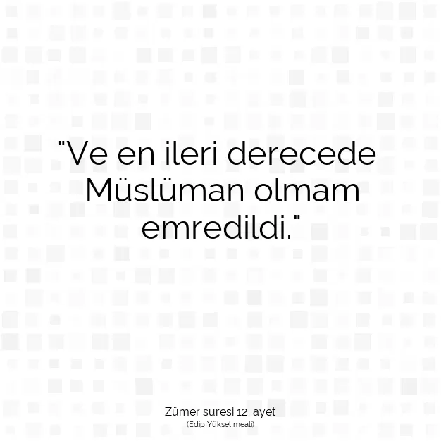 Ayetbul | Kuran Mealleri | Quran | Zümer suresi 12. ayet