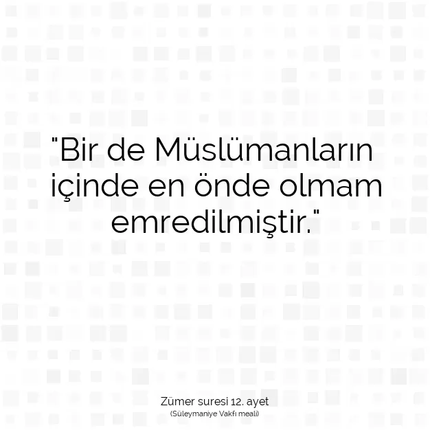 Ayetbul | Kuran Mealleri | Quran | Zümer suresi 12. ayet