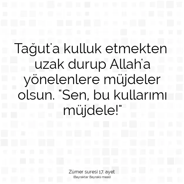 Ayetbul | Kuran Mealleri | Quran | Zümer suresi 17. ayet