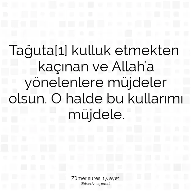 Ayetbul | Kuran Mealleri | Quran | Zümer suresi 17. ayet