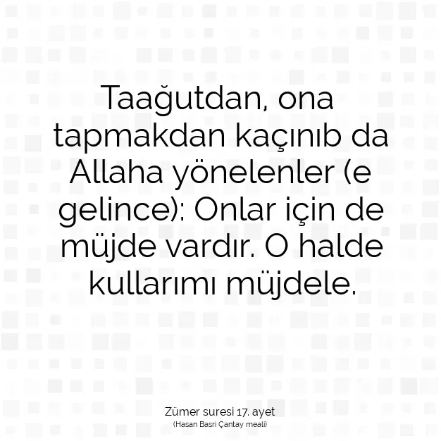 Ayetbul | Kuran Mealleri | Quran | Zümer suresi 17. ayet