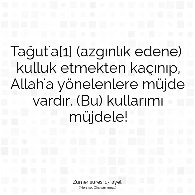 Ayetbul | Kuran Mealleri | Quran | Zümer suresi 17. ayet