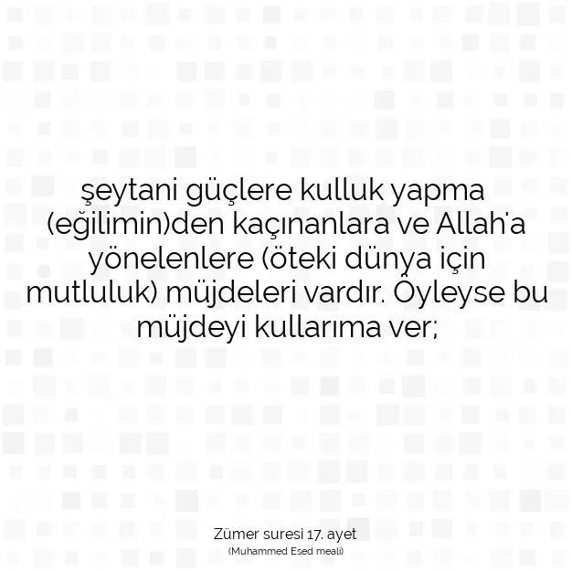 Ayetbul | Kuran Mealleri | Quran | Zümer suresi 17. ayet